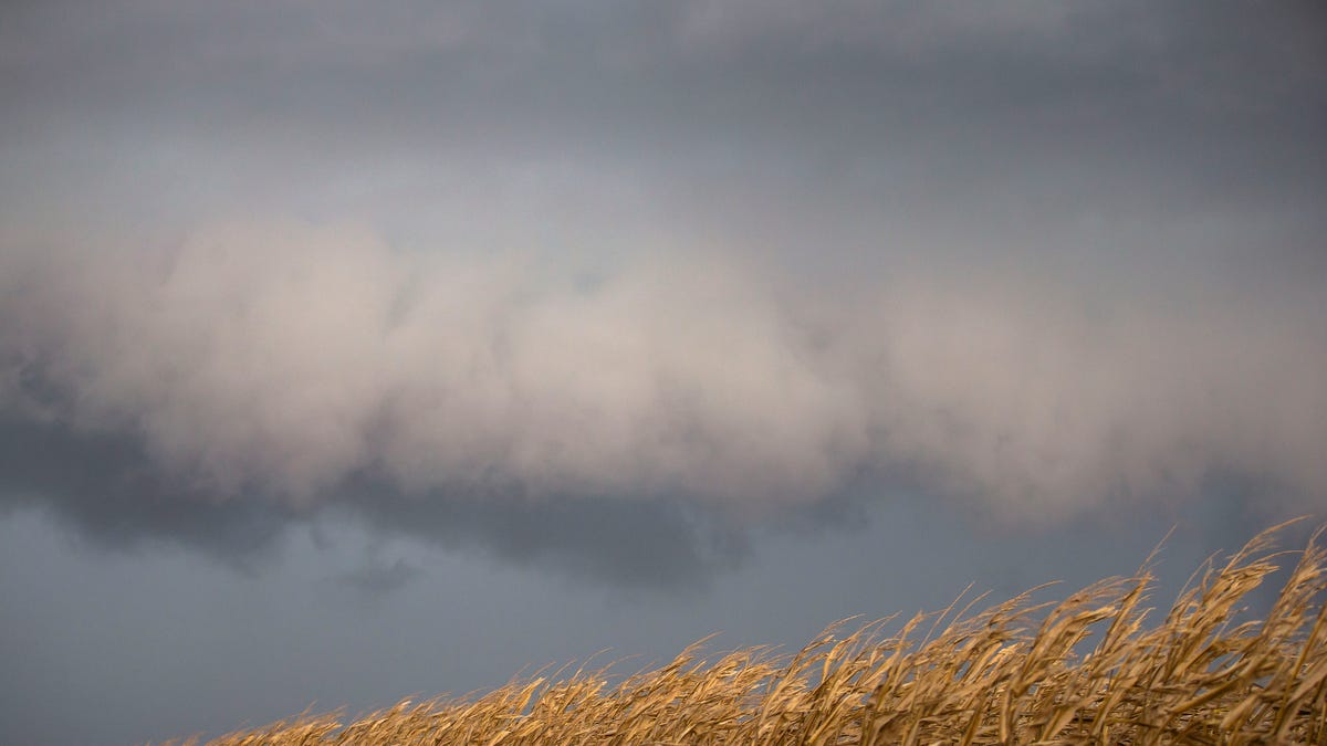 Tornadoes, hail possible across central Illinois